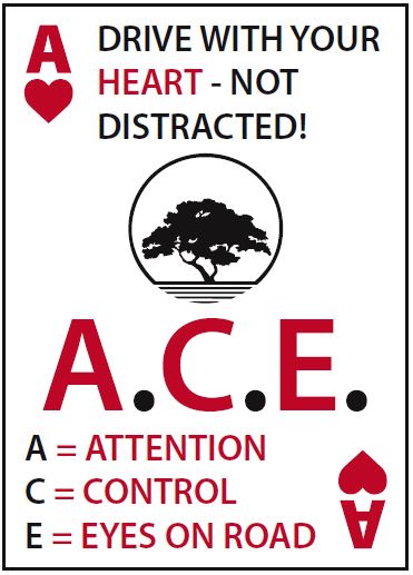 ACE Decal